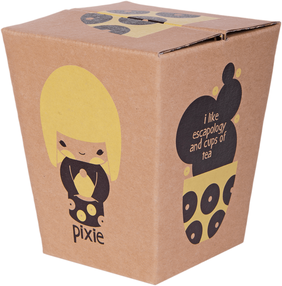Brown box with kawaii illustration of Pixie Momiji doll, a blonde character. Decorated with texts about escapology, tea & pixies. — Momiji doll