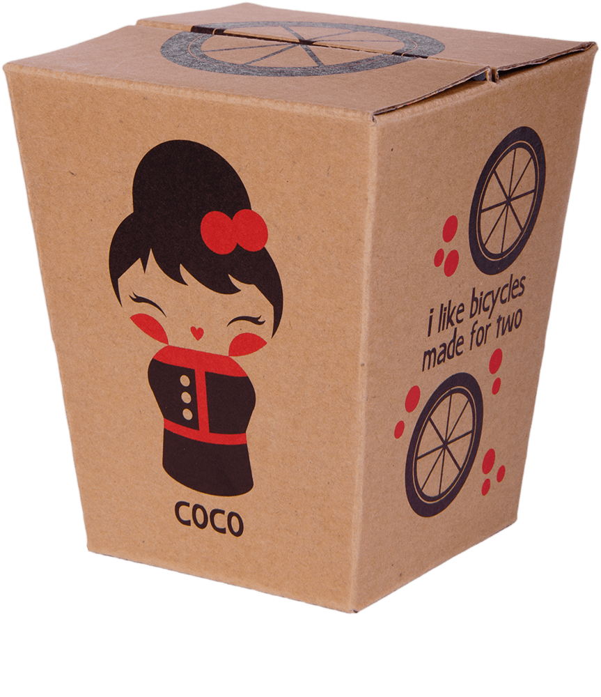 Brown takeout box features Coco Momiji doll illustration with bicycle wheel graphics, inspired by collectible Momiji dolls. — Momiji doll