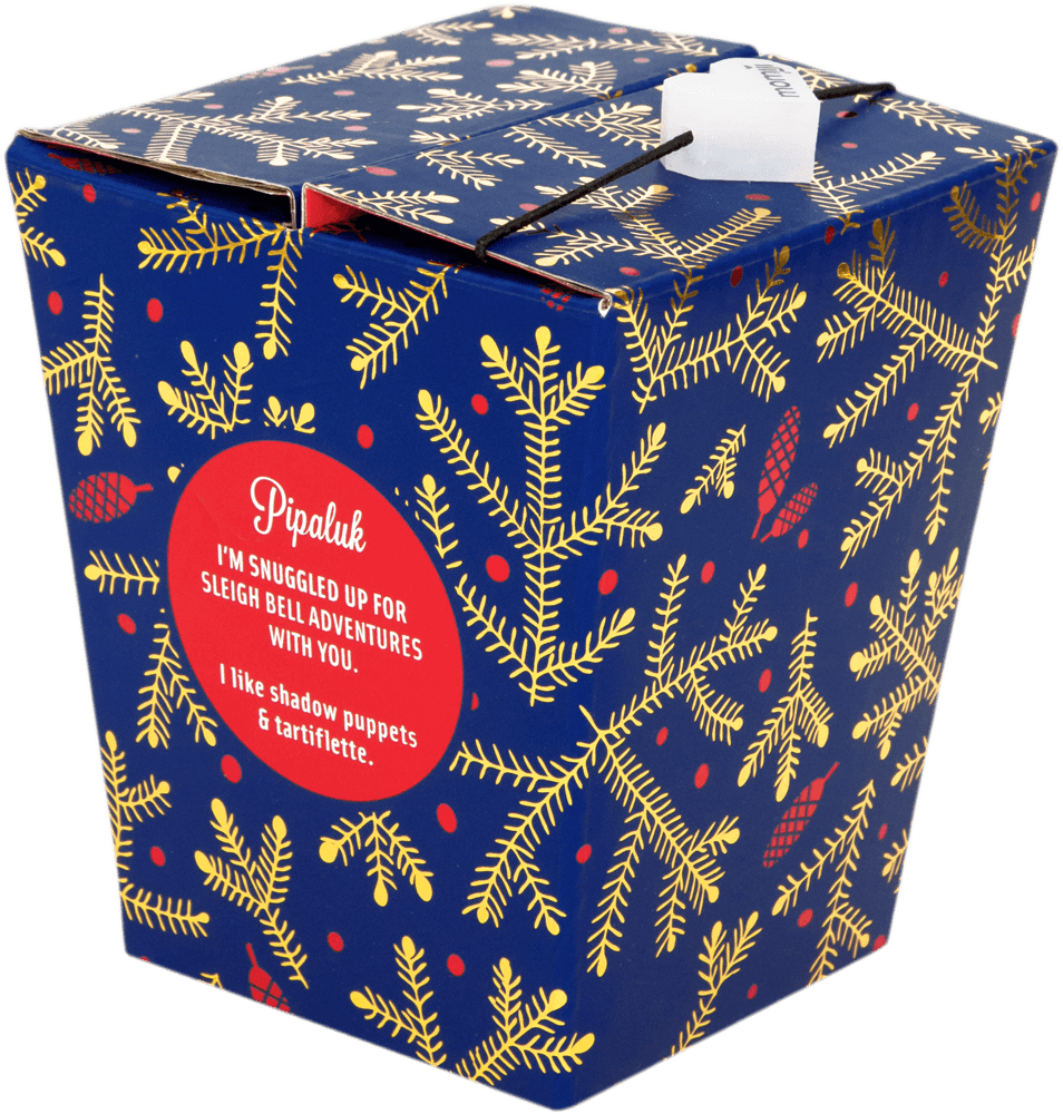 Blue takeout box with Momiji doll Pipaluk label, gold pine branches, and red berry design. — Momiji doll