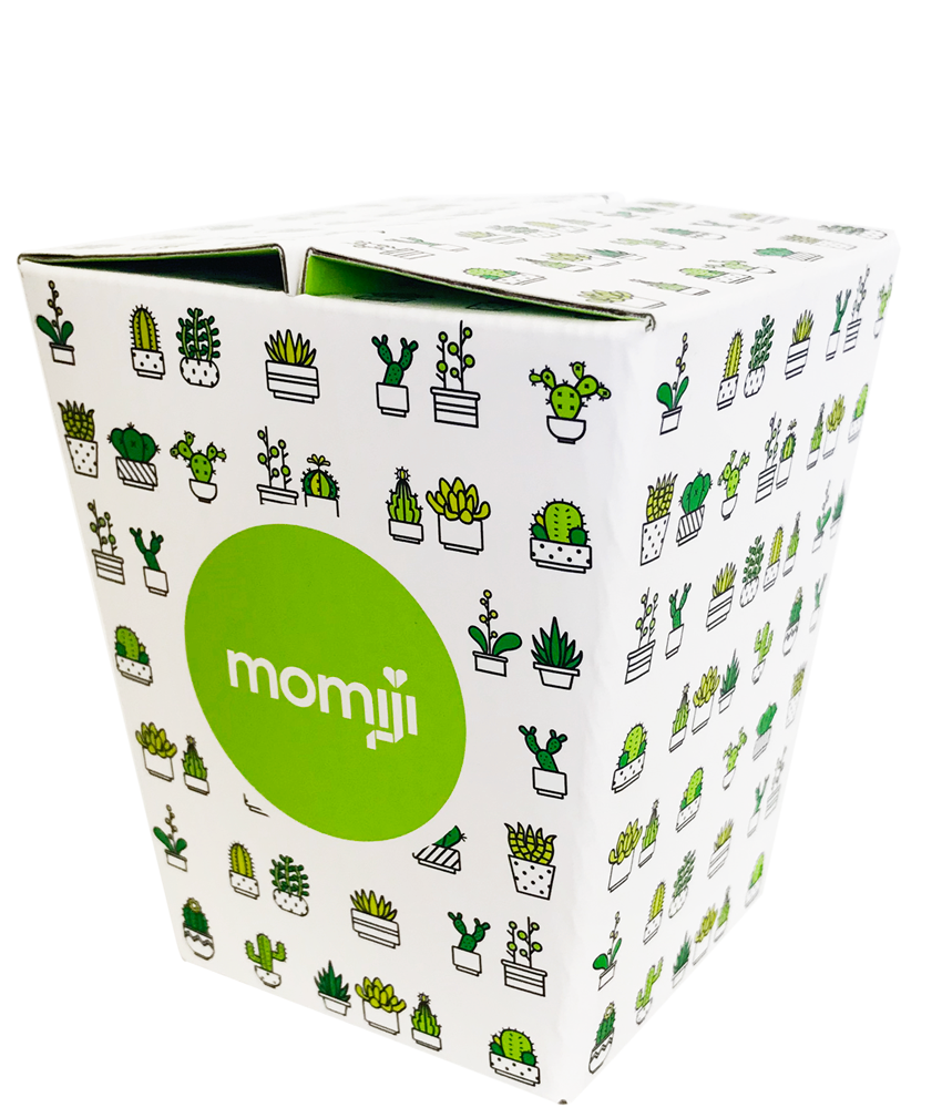 Bloom Momiji doll box: white with green Bloom logo and cute potted plant and cactus illustrations decorating the sides. — Momiji doll