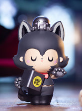 Load image into Gallery viewer, Book Shop Single (blind box)
